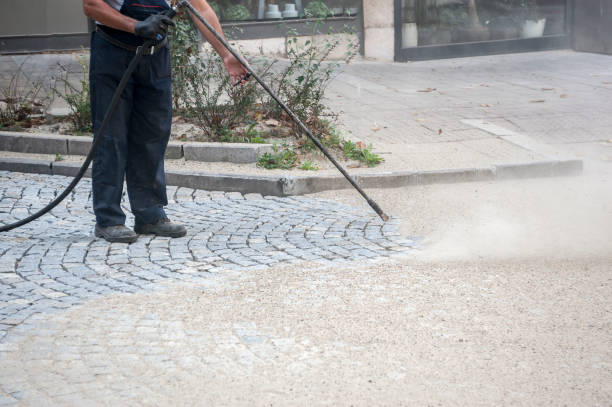 Best Winterizing Services  in Mked Tree, AR