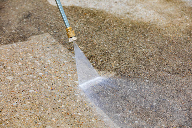 Best Boat and Dock Cleaning  in Mked Tree, AR