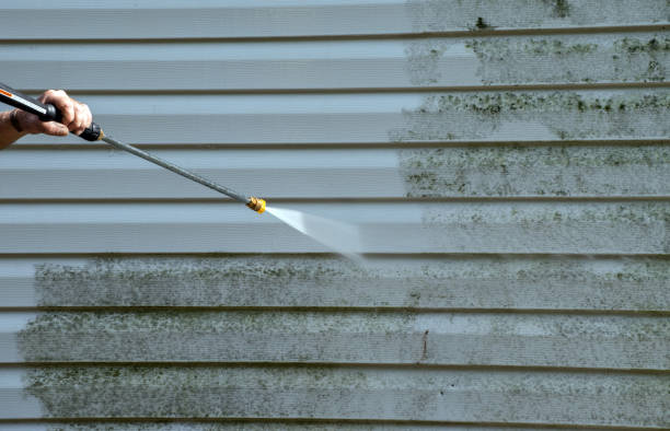 Best Sign and Awning Cleaning  in Mked Tree, AR